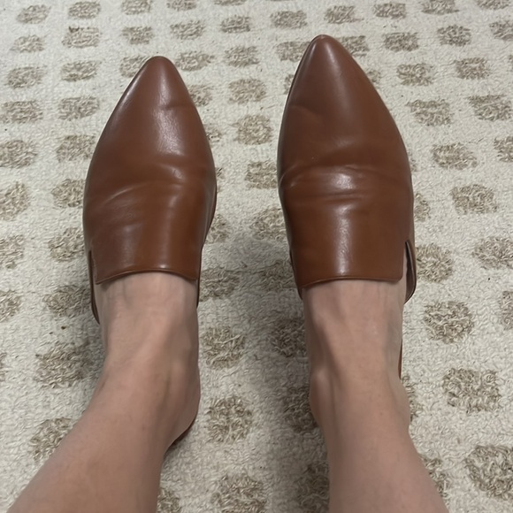 Mule flats - Picture 8 of 9